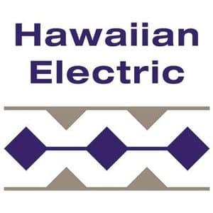 Hawaiian Electric Logo | Partners in Development Foundation