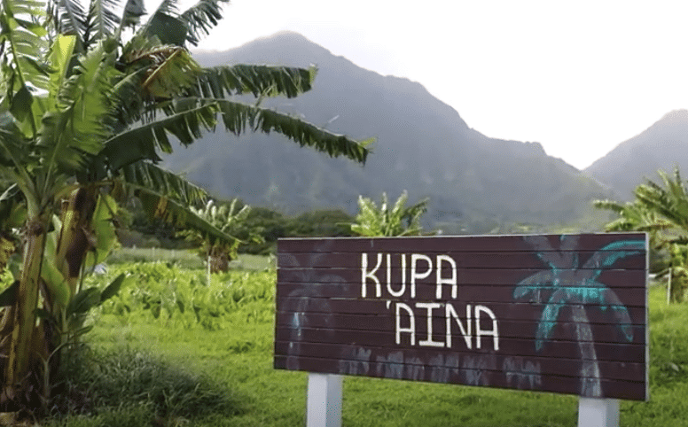 Kupa ʻAina